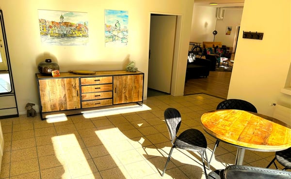 Loft-Wohnung mit Garten direkt am Rhein 2