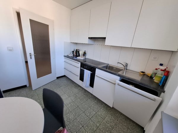 affittasi spazioso e luminoso app. 1.5 locali a Locarno 3