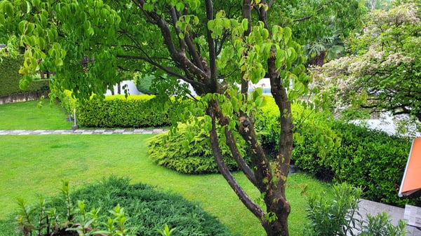 Appartamento 1.5 locali 4