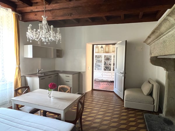 Affascinante monolocale arredato vicino Ascona 3