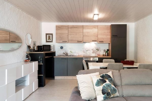 Affittasi bilocale ammobiliato tra le vigne Giubiasco 2