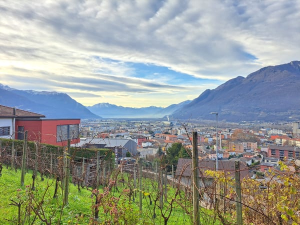 Affittasi bilocale ammobiliato tra le vigne Giubiasco 1