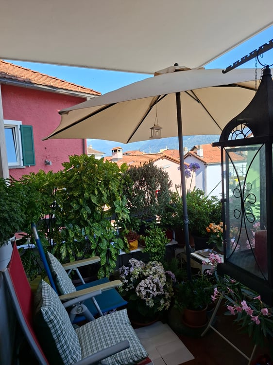 Cerco subentrante apt 1.5 Locarno 4