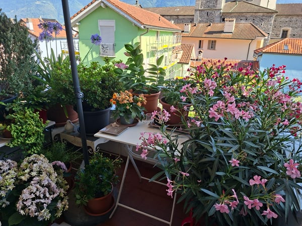 Cerco subentrante 1.5-16mq Locarno 4