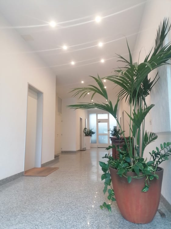 Appartamento - Studio - Ufficio 1