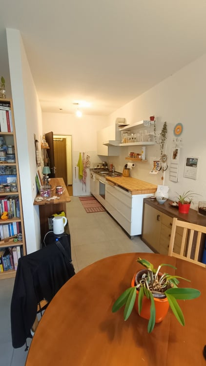 Cercasi Subentrate per monolocale con balcone a Bellinzona 3