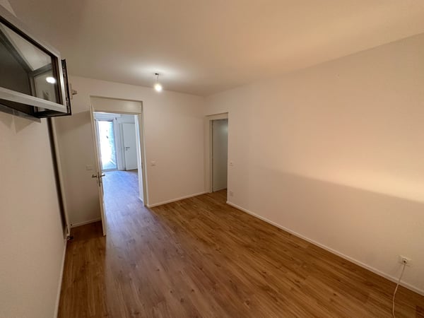 Locarno Monti, splendido e tranquillo appartamento rinnovato 3