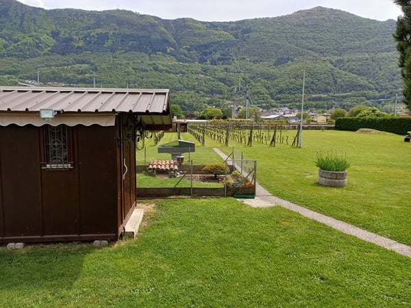 Casa in vendita a Bellinzona 6
