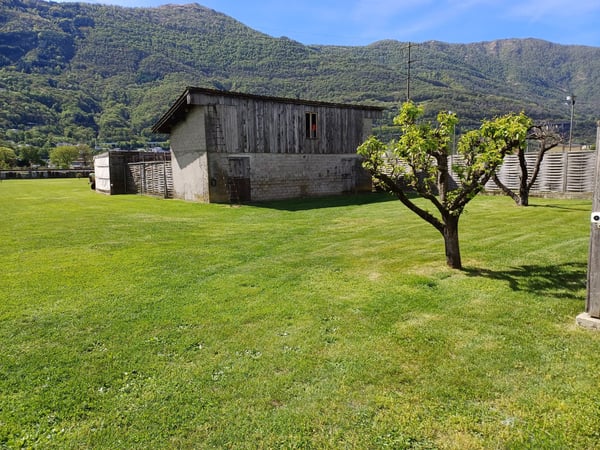 Casa in vendita a Bellinzona 3