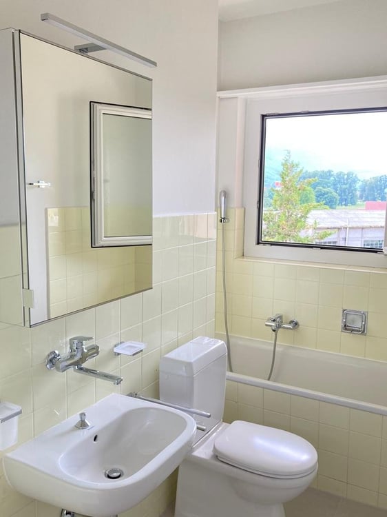 Bellinzona luminoso 1.5 locali completamente ristrutturato 5