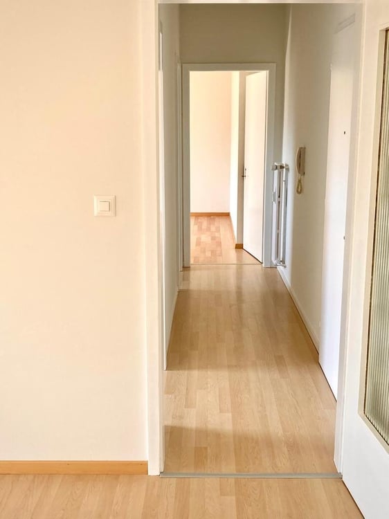 Bellinzona luminoso 1.5 locali completamente ristrutturato 4