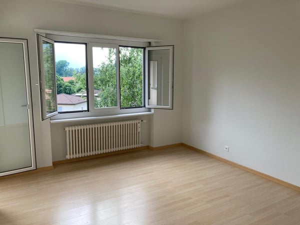 Bellinzona luminoso 1.5 locali completamente ristrutturato 6