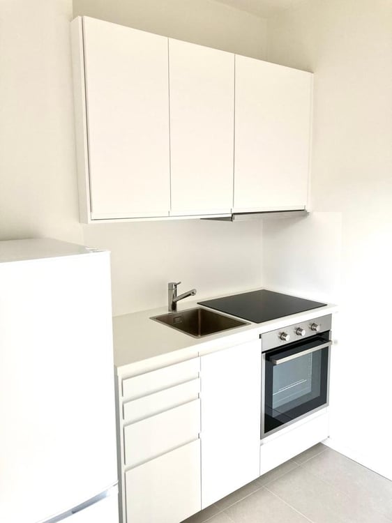 Bellinzona luminoso 1.5 locali completamente ristrutturato 3