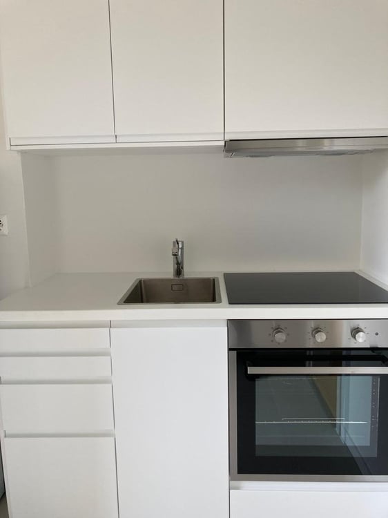 Bellinzona luminoso 1.5 locali completamente ristrutturato 2