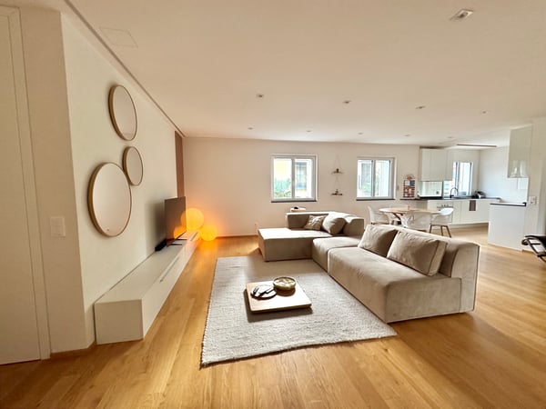 SUBENTRANTE APPARTAMENTO 1.5 ASCONA 150MQ 5