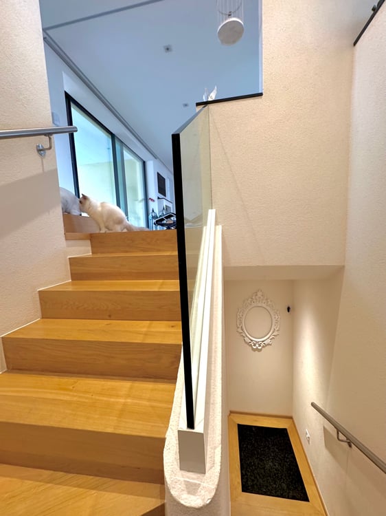 SUBENTRANTE APPARTAMENTO 1.5 ASCONA 150MQ 4