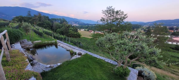 STANZA STUDENTE MENDRISIOTTO 1