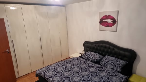 Affittasi Bellissimo e Comodissimo Appartamento 1.5 Arredato 3