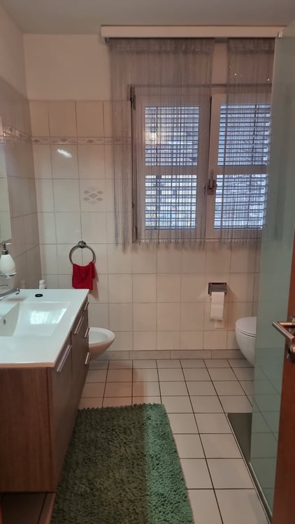 Affittasi Bellissimo e Comodissimo Appartamento 1.5 Arredato 2