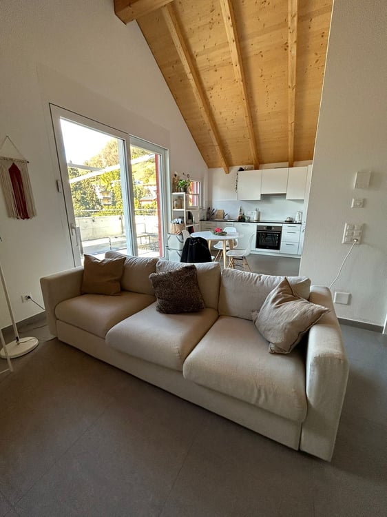 Appartamento mansardato 1.5 locali 2