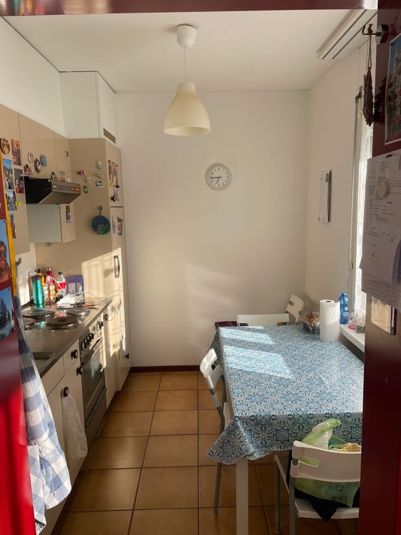 Luminoso appartamento 1.5 locali a Bellinzona Sud (Semine) 4