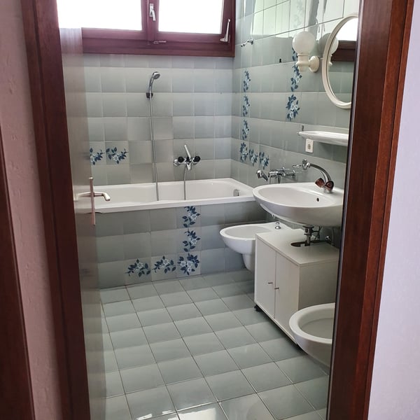 BELLINZONA-CARASSO AFFITTASI 1.5 LOCALI RISTRUTTURATO 4