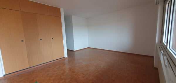 Spazioso e confortevole appartamento 1.5 locali 1