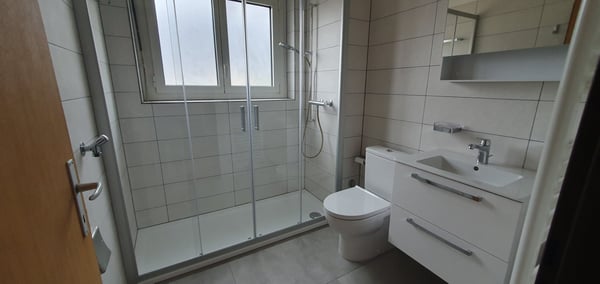 Spazioso e confortevole appartamento 1.5 locali 3