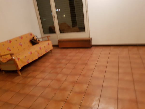 Grazioso appartamento a Biasca 4