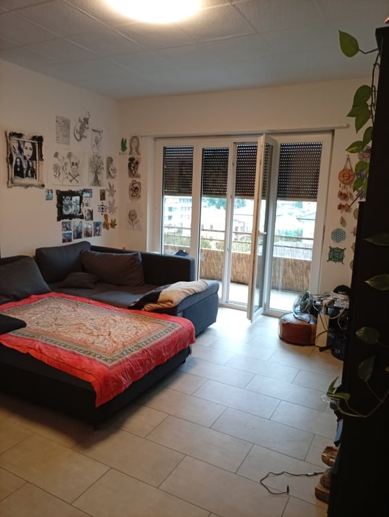 Cerco urgentemente subentrante per 1.5 locali Bellinzona 5