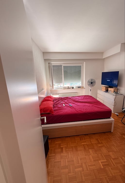 Appartamento a Solduno arredato 1.5 locali 5