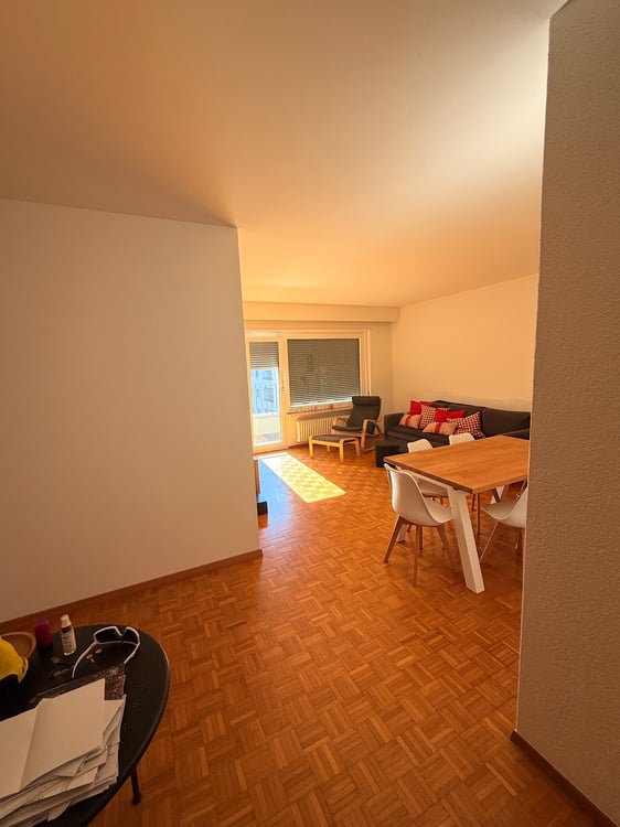 Appartamento a Solduno arredato 1.5 locali 1