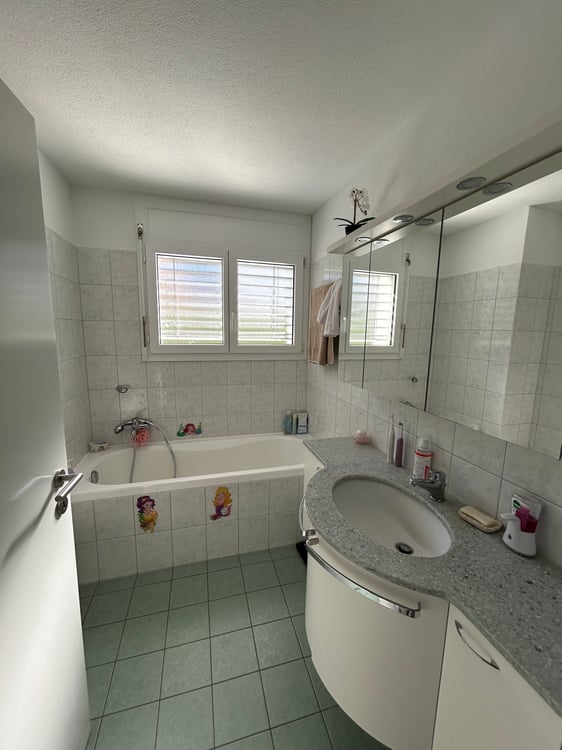 Appartamento 1.5 con giardino 3