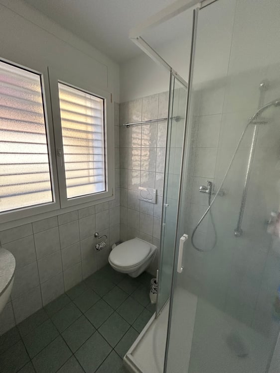 Appartamento 1.5 con giardino 1