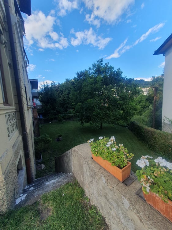 Ampio e ristrutturato 1 1/2 + veranda e giardino 2