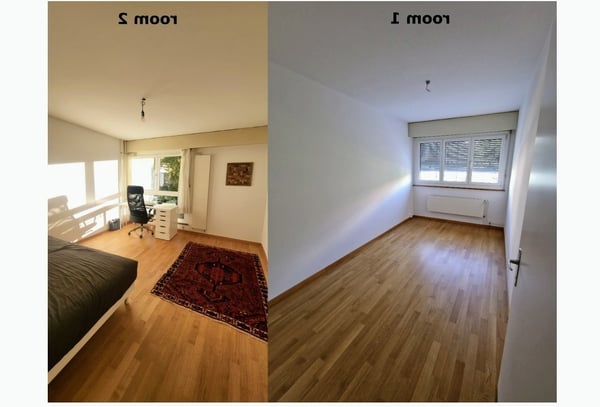 Cerco subentrante per 1.5 locali a Bienne 1