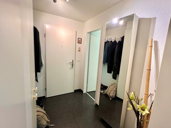 Helle 1.5 Zimmer Wohnung mit super Anbindung und Ausssicht 3