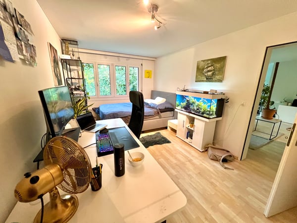 Helle 1.5 Zimmer Wohnung mit super Anbindung und Ausssicht 2