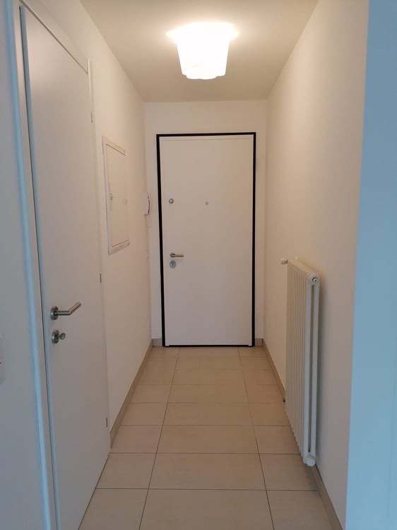 Monolocale in affitto Mendrisio 3