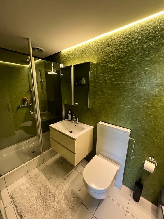 appartamento 1.5 Minusio 4