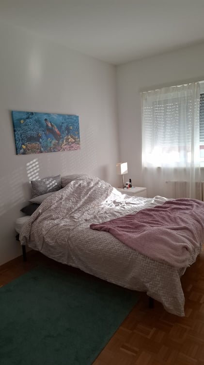 Cerco subentrante immediato 2