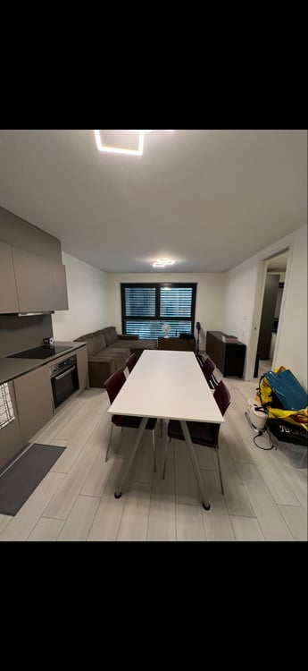 Appartamento 1.5 a Mendrisio 3