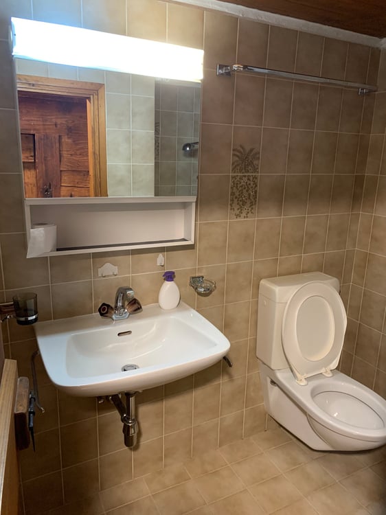 Affittasi rustico a Pontironetto (monti di Biasca) 5