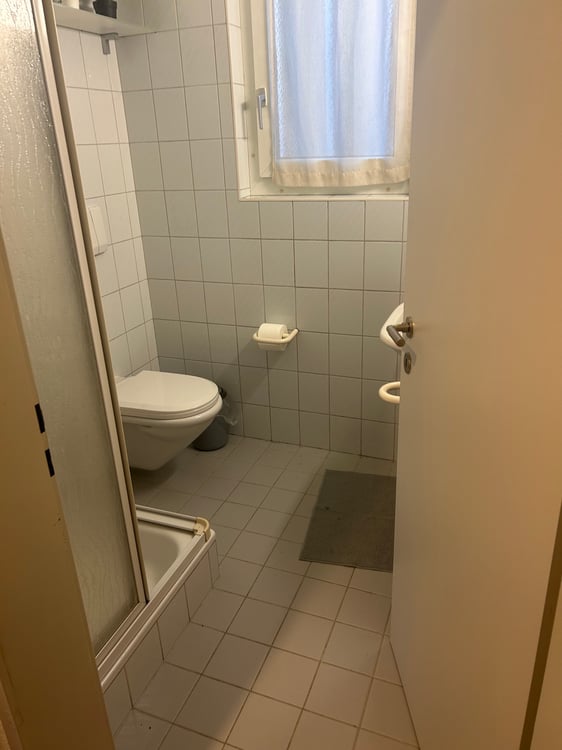 Affittasi appartamento di locali 1.5 con giardino privato 4