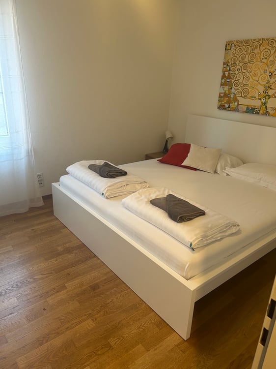 Affittasi appartamento di locali 1.5 con giardino privato 3