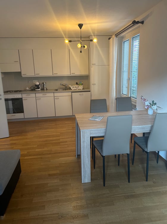 Affittasi appartamento di locali 1.5 con giardino privato 2