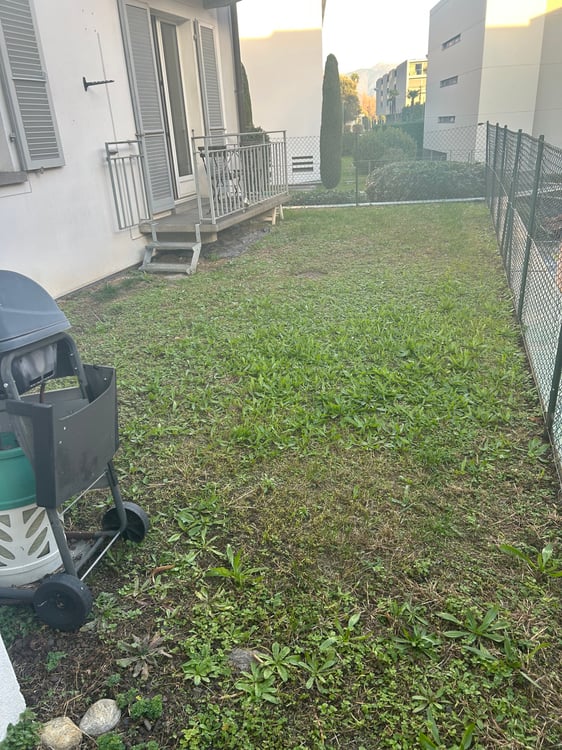 Affittasi appartamento di locali 1.5 con giardino privato 5