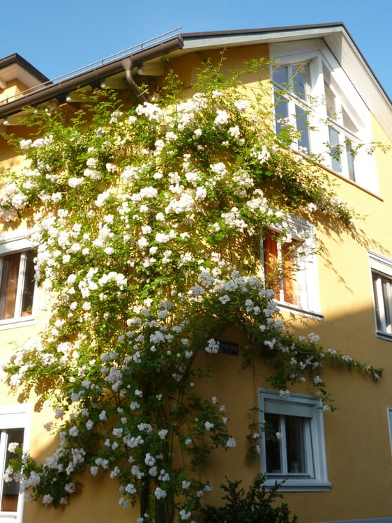 schönes, möbliertes Zimmer 3 min vom Bahnhof ab 1.3. 2026 3