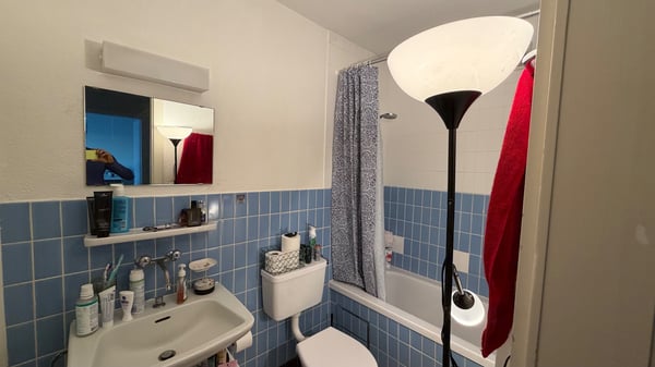 Furnished Apartment | Winter sublet 5