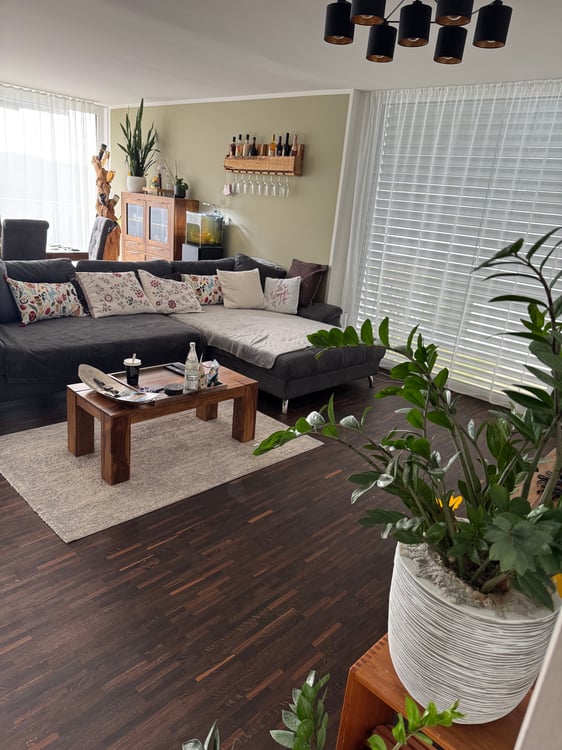 1.5 Zimmer Wohnung in Volketswil 2